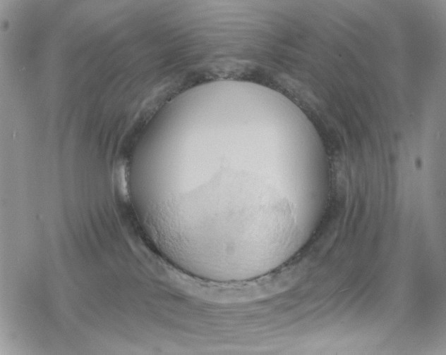 X0000078230042200611171444