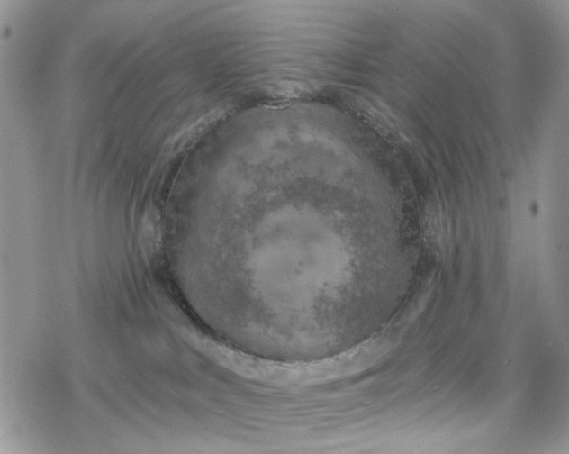 X0000078230043200611171444