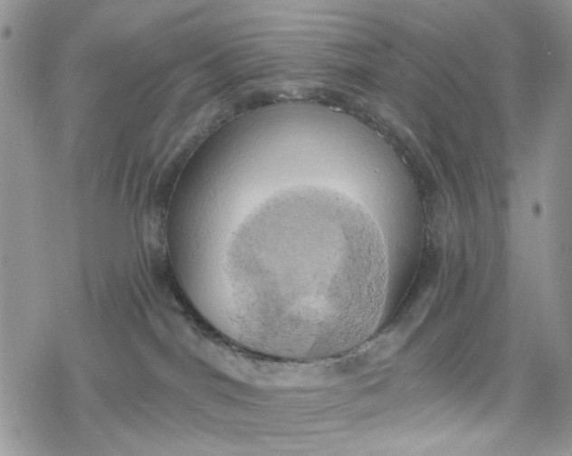 X0000078230044200611171444