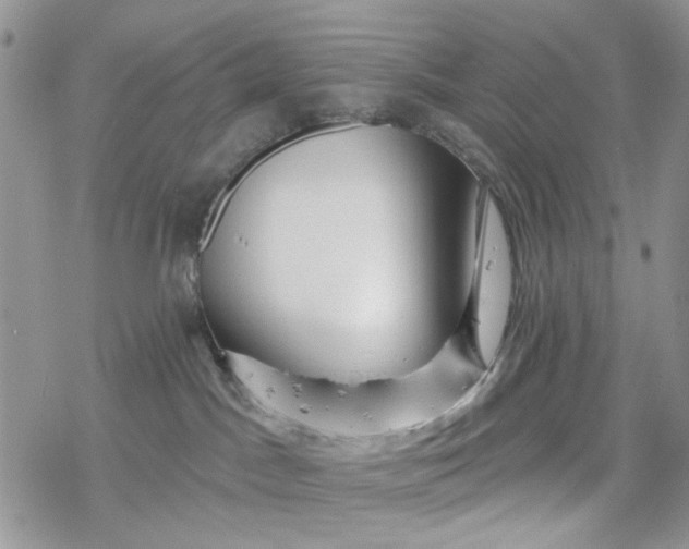 X0000078230045200611171444