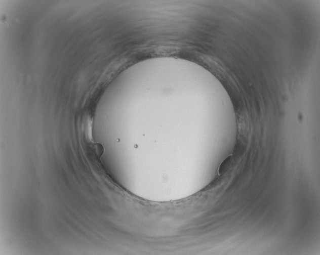 X0000078230046200611171444