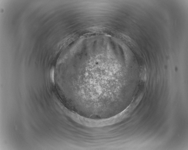 X0000078230047200611171444