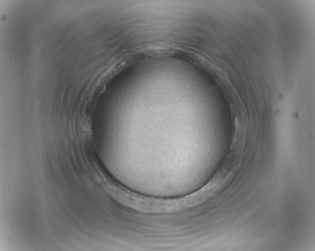 X0000078230048200611171444