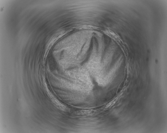 X0000078230049200611171444