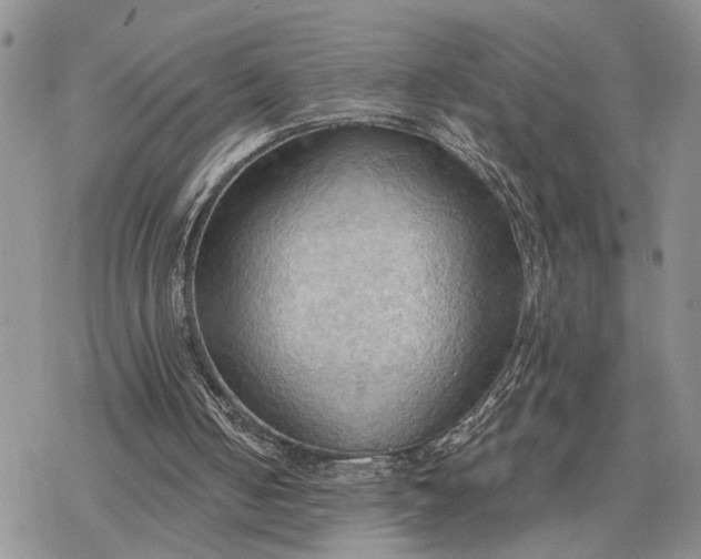 X0000078230050200611171444