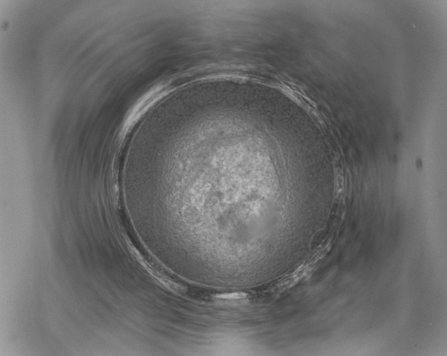 X0000078230053200611171444