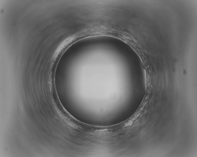 X0000078230054200611171444