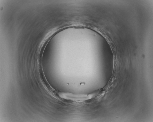 X0000078230055200611171444