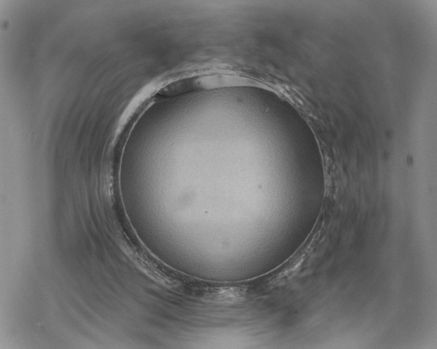 X0000078230056200611171444