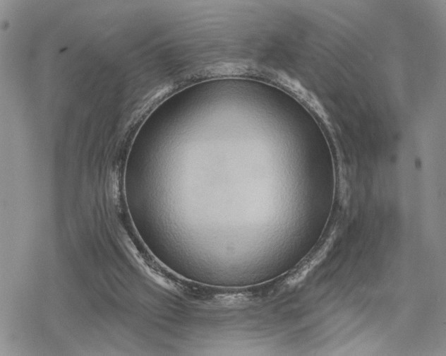 X0000078230057200611171444