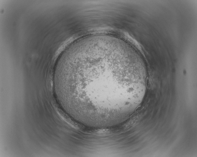 X0000078230059200611171444