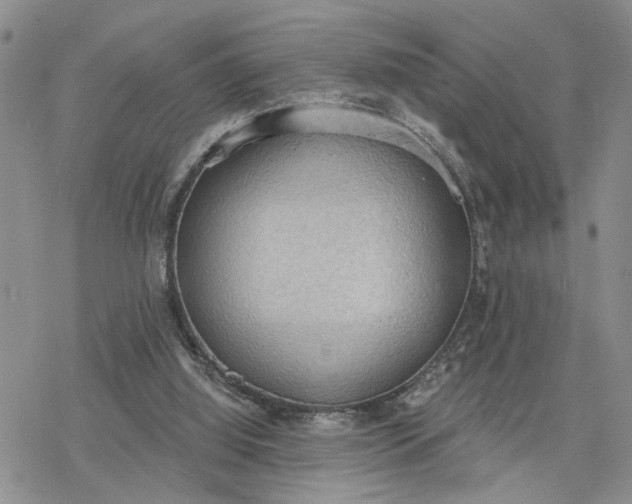 X0000078230060200611171444