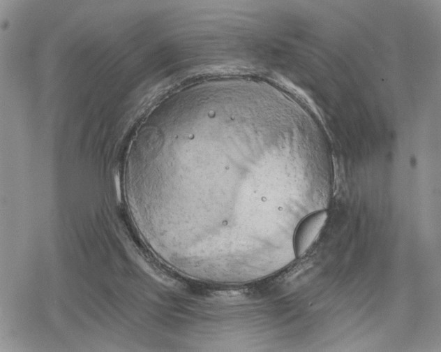 X0000078230061200611171444