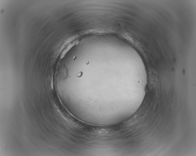 X0000078230062200611171444