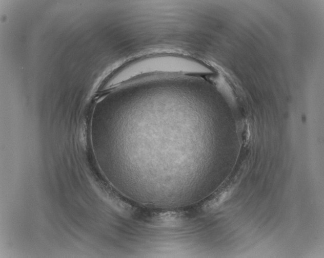 X0000078230064200611171444