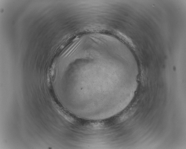 X0000078230065200611171444