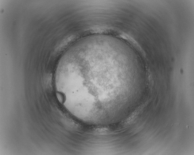 X0000078230066200611171444