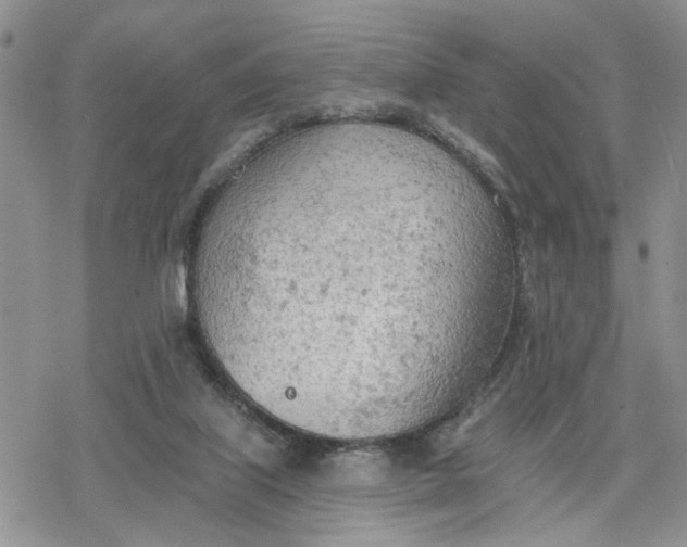 X0000078230067200611171444