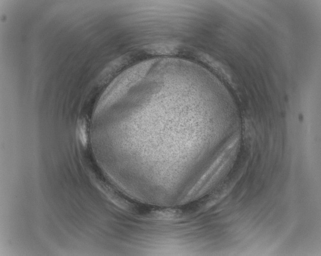 X0000078230069200611171444