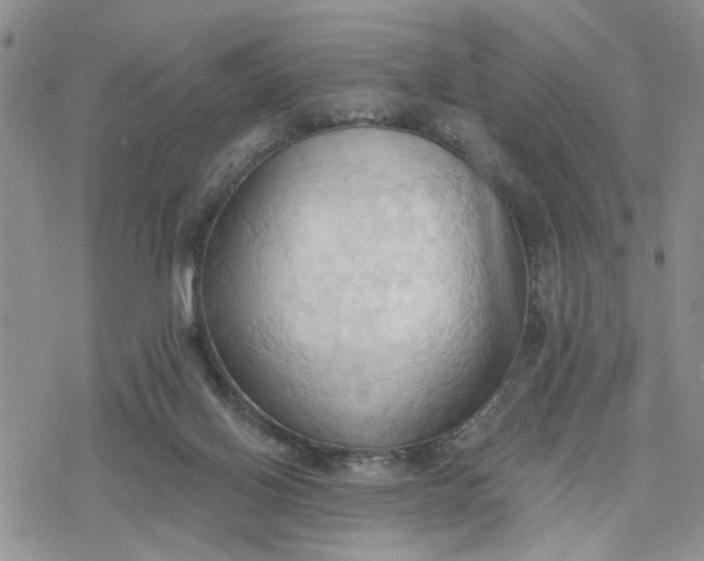 X0000078230070200611171444