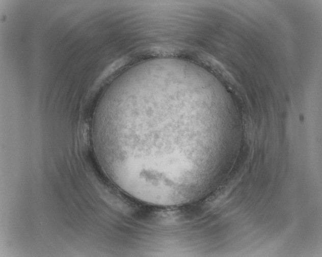 X0000078230071200611171444