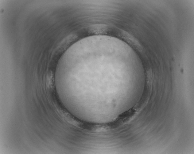 X0000078230073200611171444