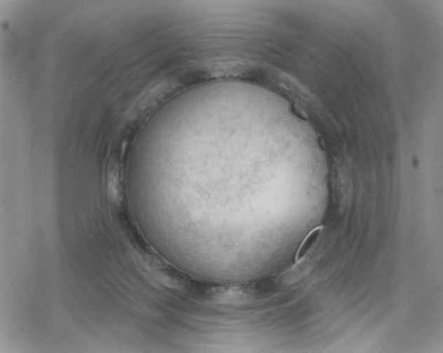 X0000078230074200611171444