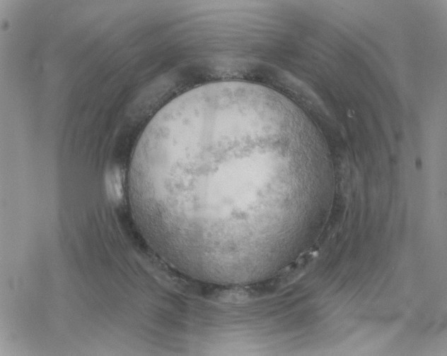 X0000078230075200611171444