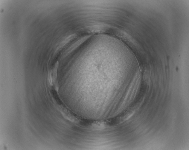 X0000078230076200611171444