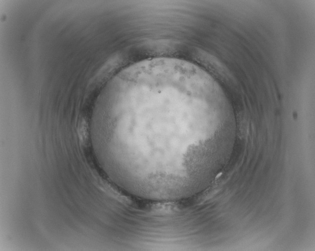 X0000078230077200611171444