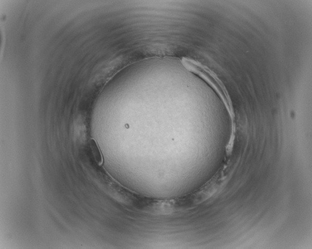 X0000078230080200611171444