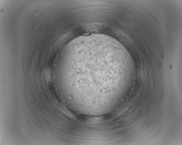 X0000078230081200611171444