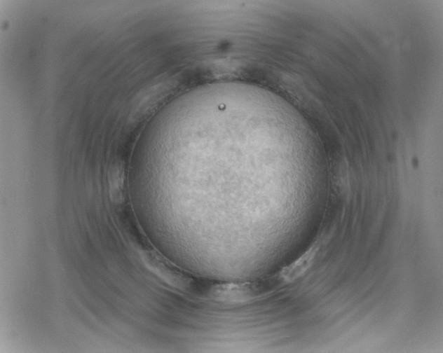 X0000078230082200611171444