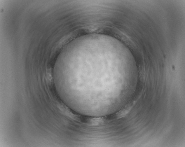 X0000078230085200611171444