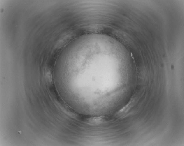 X0000078230086200611171444