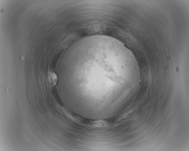 X0000078230087200611171444