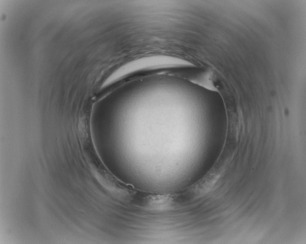 X0000078230088200611171444