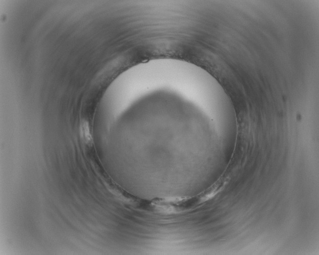 X0000078230089200611171444