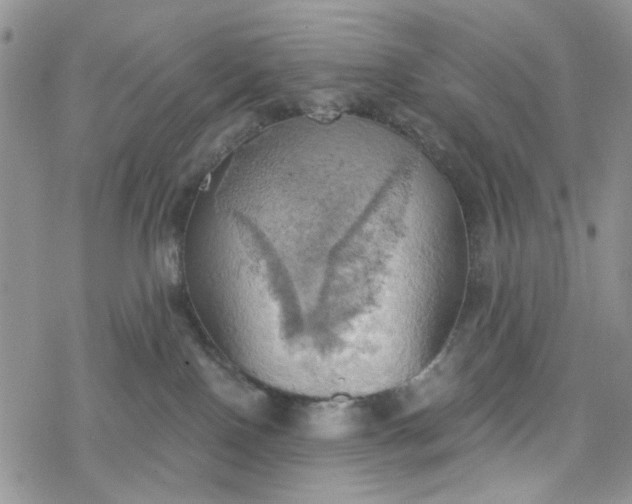 X0000078230090200611171444