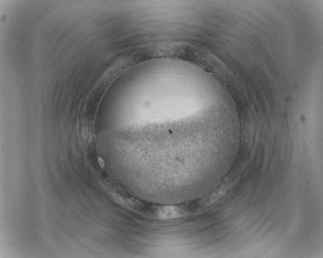 X0000078230091200611171444