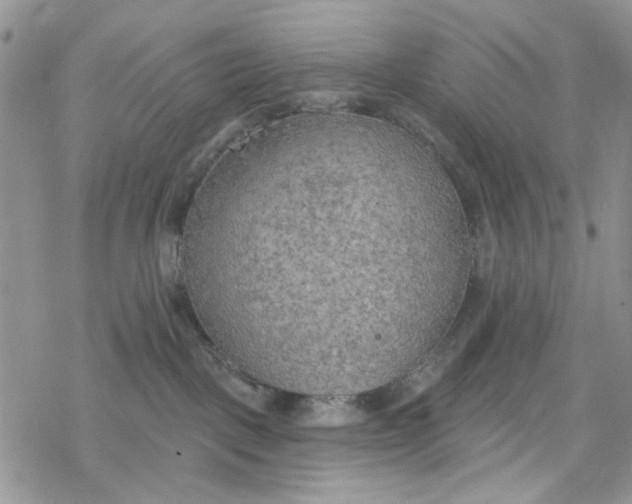 X0000078230093200611171444