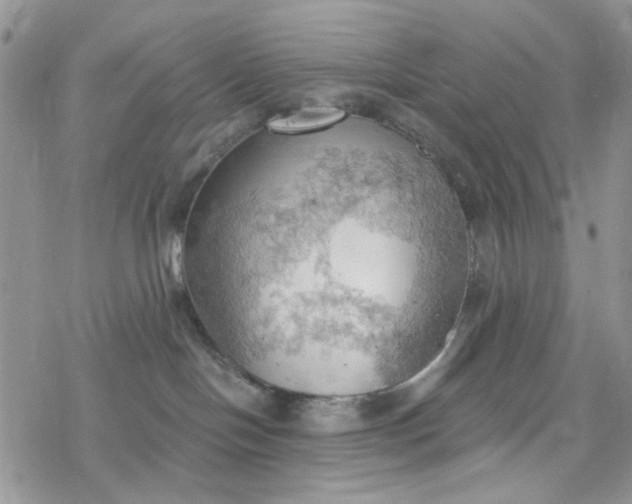 X0000078230094200611171444