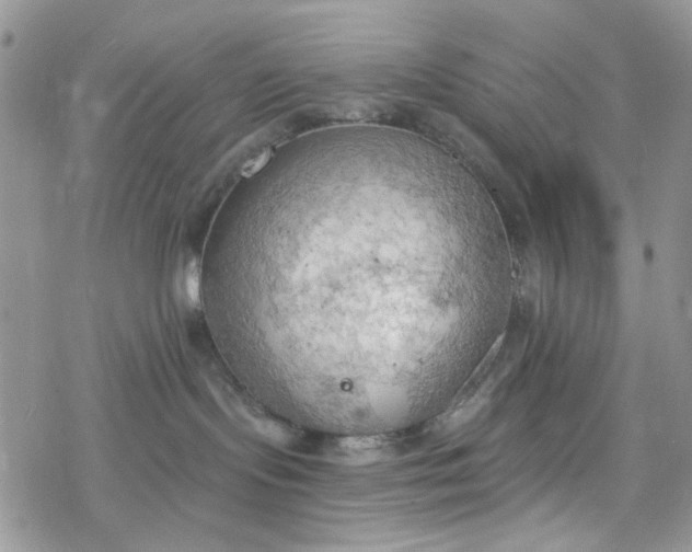 X0000078230095200611171444