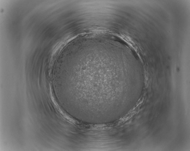 X0000078230097200611171444