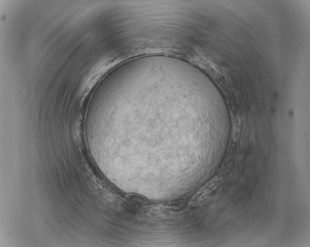 X0000078230098200611171444