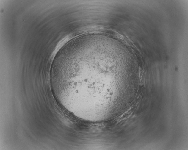 X0000078230099200611171444