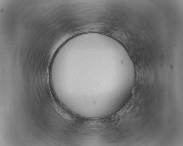 X0000078230100200611171444