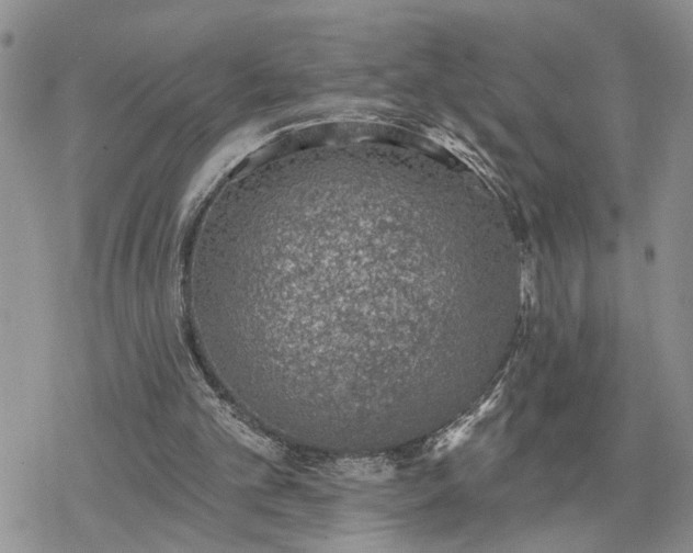 X0000078230101200611171443