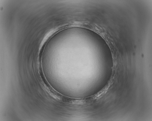 X0000078230102200611171443