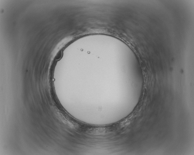 X0000078230104200611171443